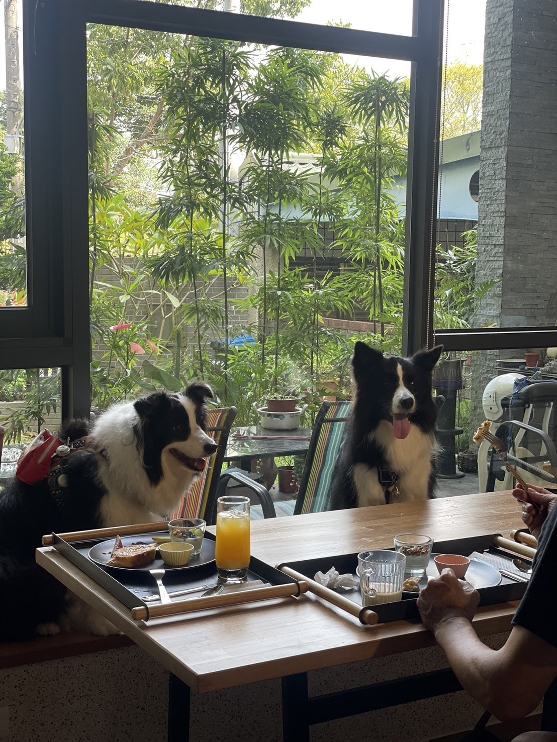 STOP AND GO照片系列，第3張