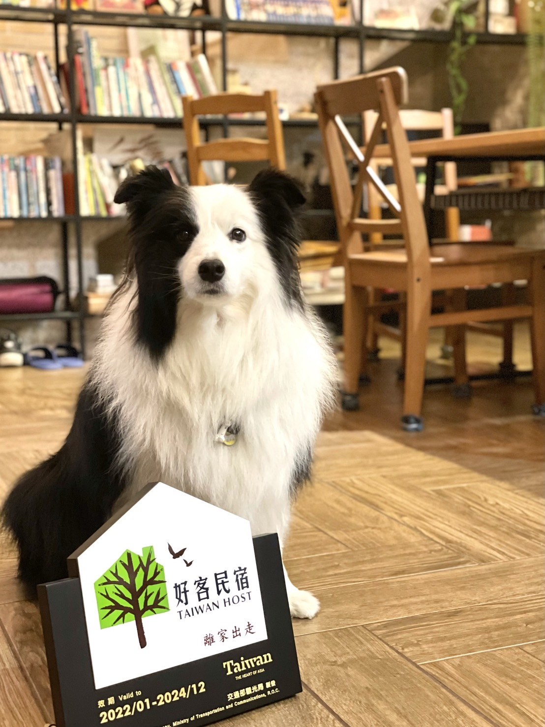 STOP AND GO照片系列，第1張